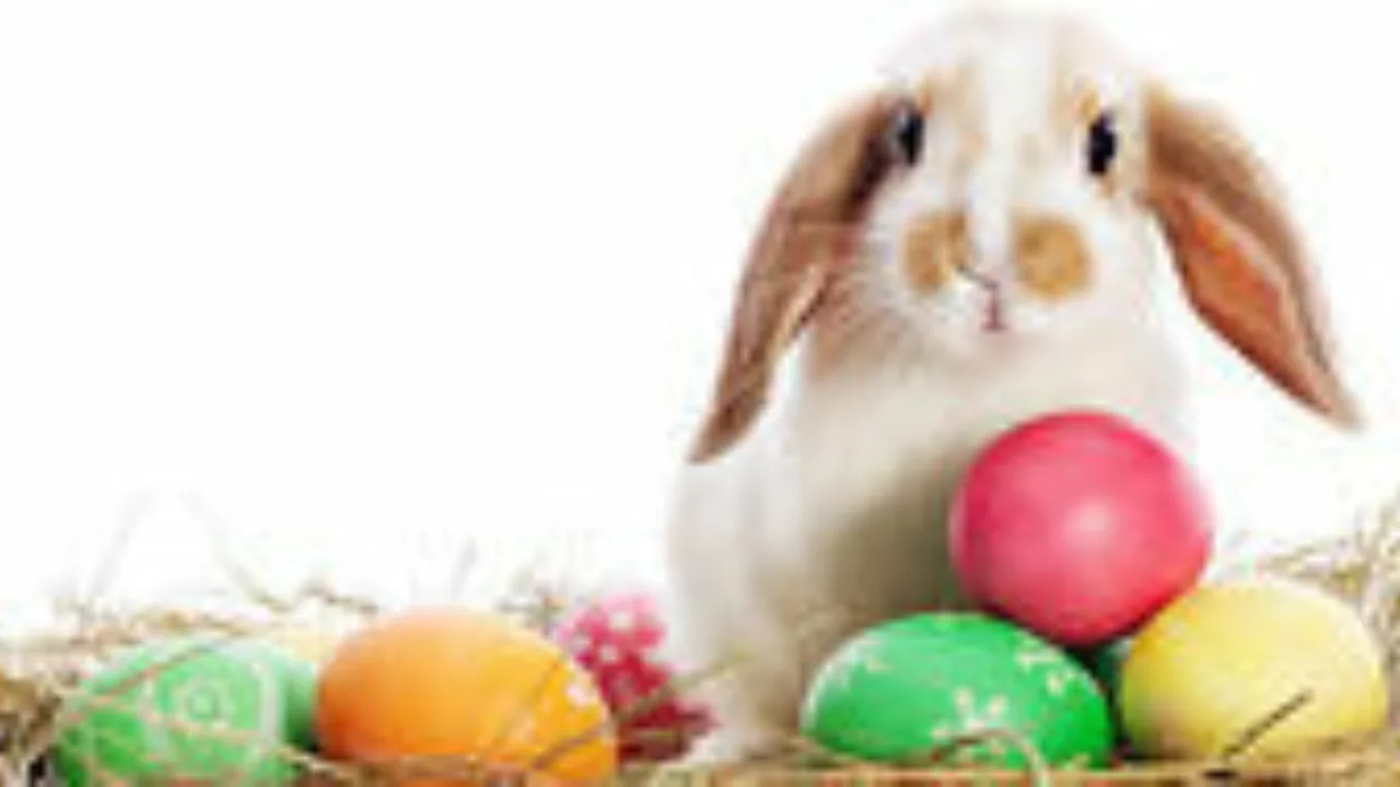 Easter for Everyone! - photo