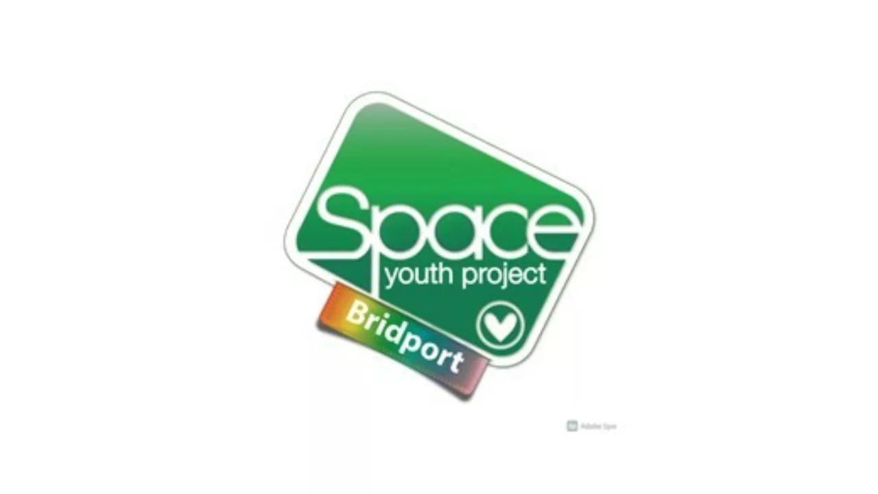 Bridport: Space Youth Project - photo