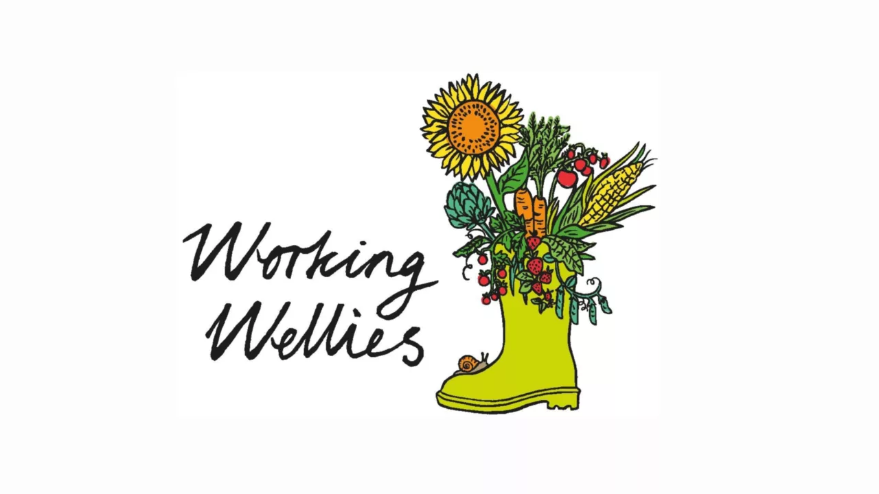 Supported Volunteering: Working Wellies - photo