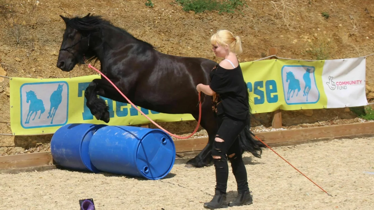 Equine-Assisted Interventions @ TheHorseCourse - photo